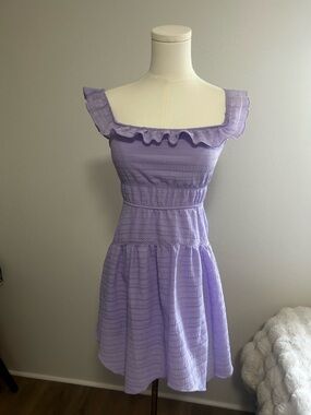 Wild Fable Lilac Ruffle mini Dress